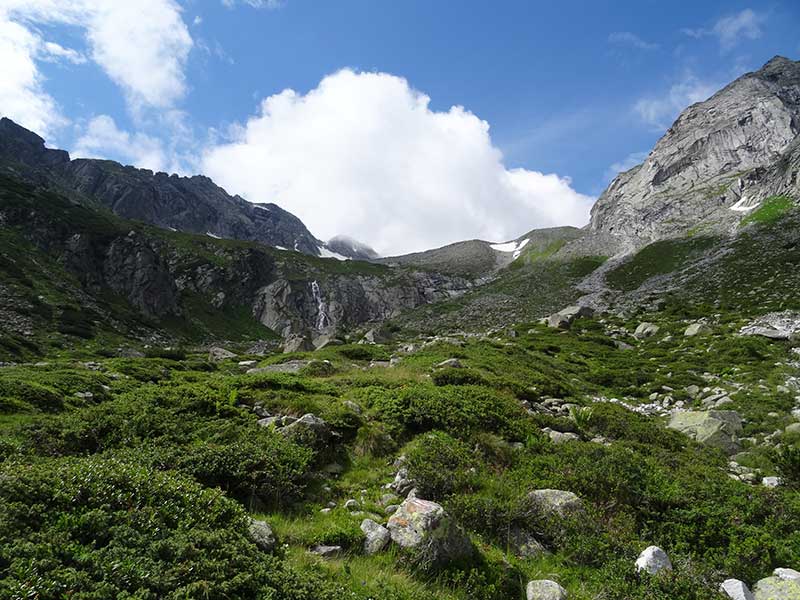 Wollbachspitze